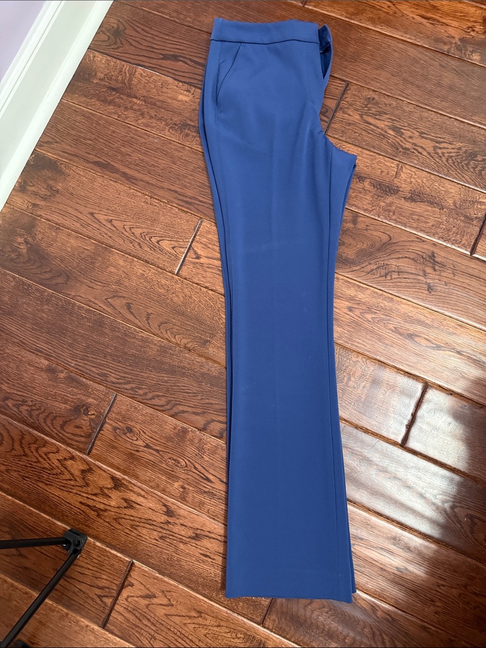Ann Taylor Women's Flared Dress Pants in Blue